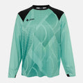 JDH Carbon Senior Torwart Langarmshirt - Grün