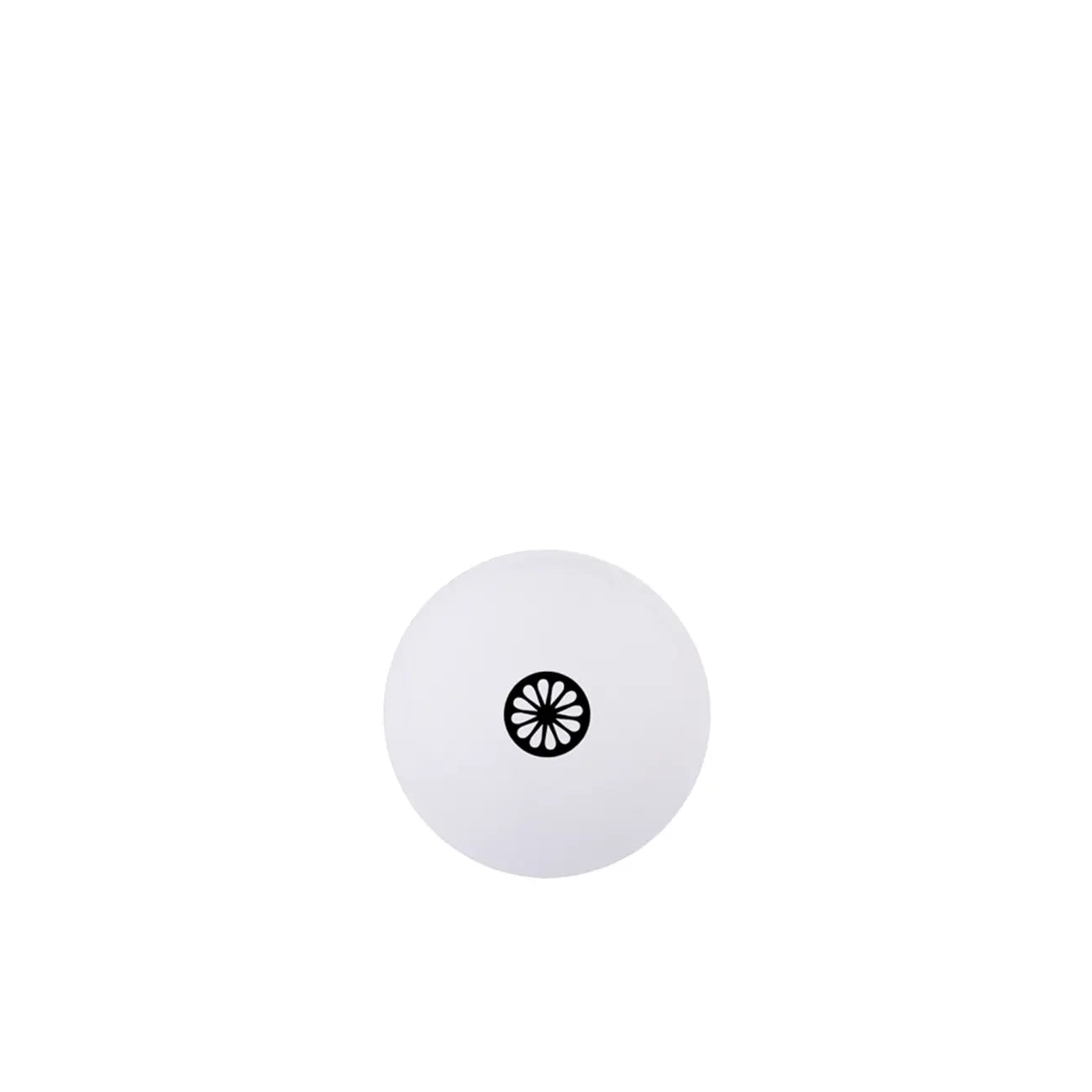 Indian Maharadja Hockey Training ball [smooth] - White Accessoires